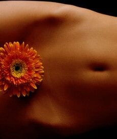 internal pelvic release